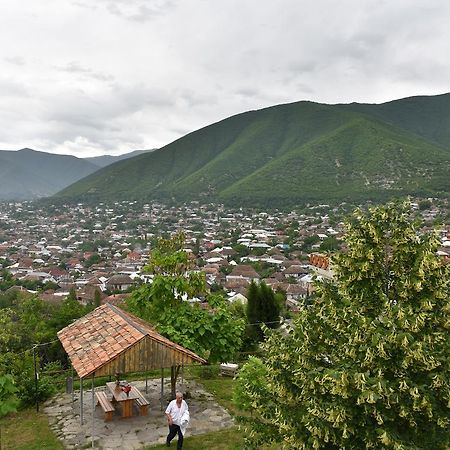 Sheki Panorama Guest House Εξωτερικό φωτογραφία