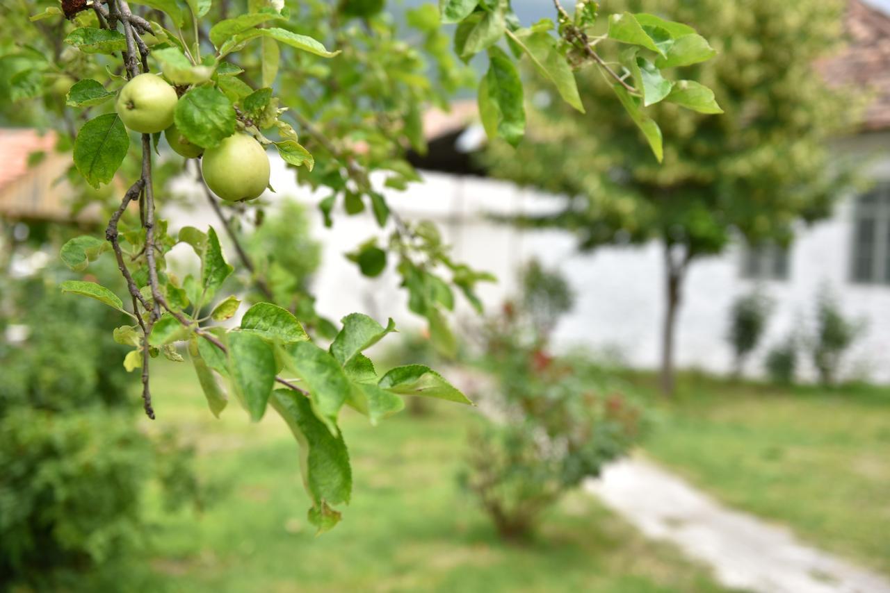 Sheki Panorama Guest House Εξωτερικό φωτογραφία