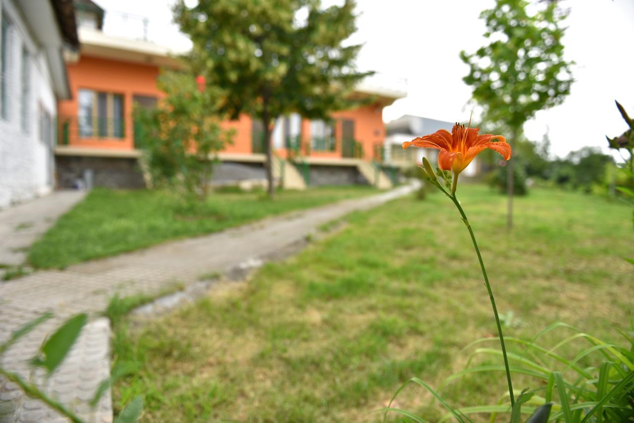 Sheki Panorama Guest House Εξωτερικό φωτογραφία